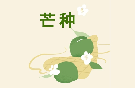 創(chuàng)洲木門(mén)丨芒種，是豐收也象征著新生